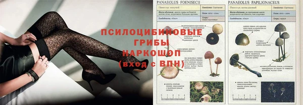 ешки Надым