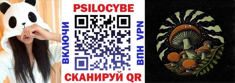 Псилоцибиновые грибы MAGIC MUSHROOMS  kraken как войти  Сердобск 